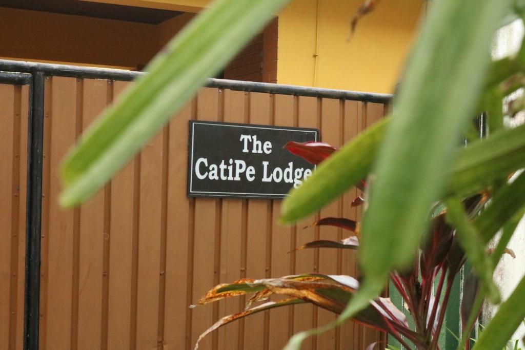The CatiPe Lodge photo 3