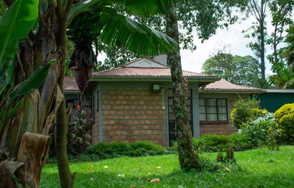 Zoe Homes 1br and 2br Cottage own compound -Kericho town near Green Square mall photo 1