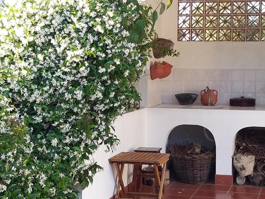 Villa Abitureiras photo 3