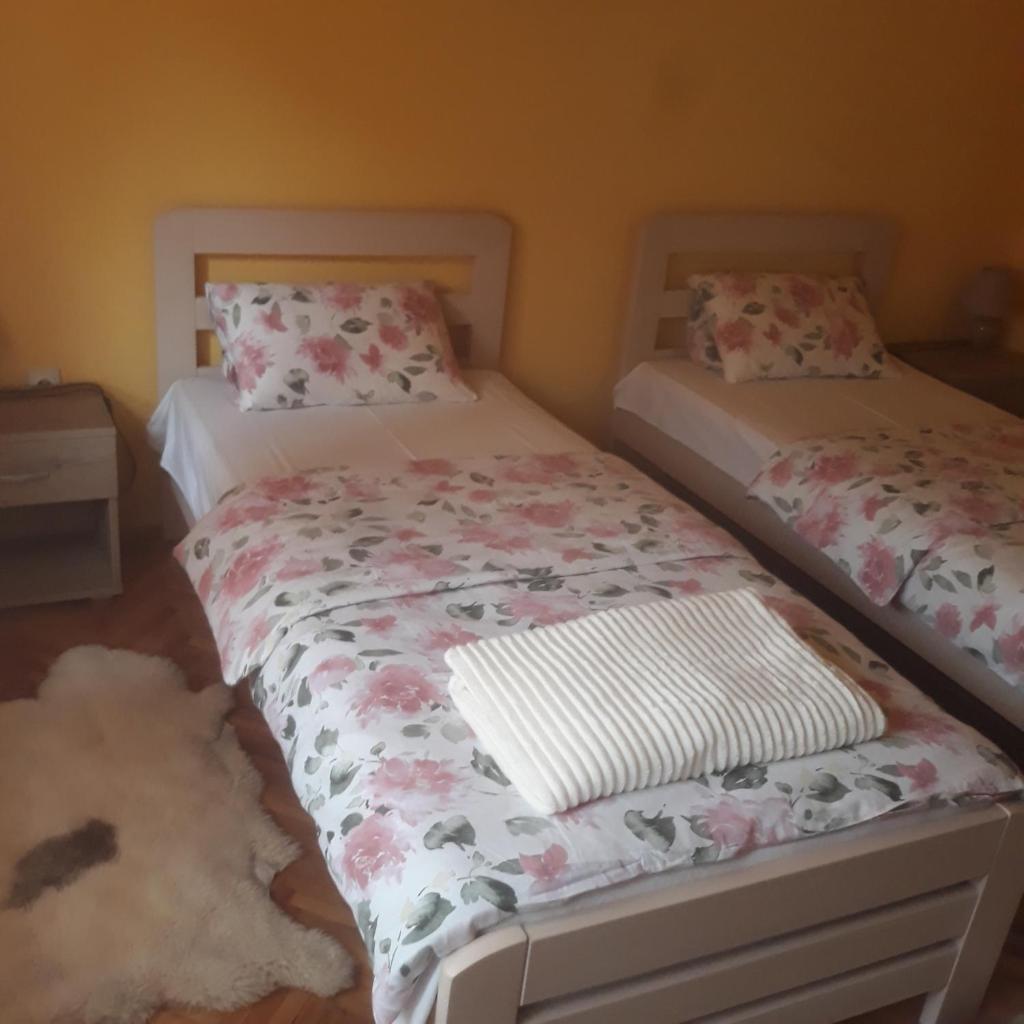 Apartman "Dom Stankovića" photo 3