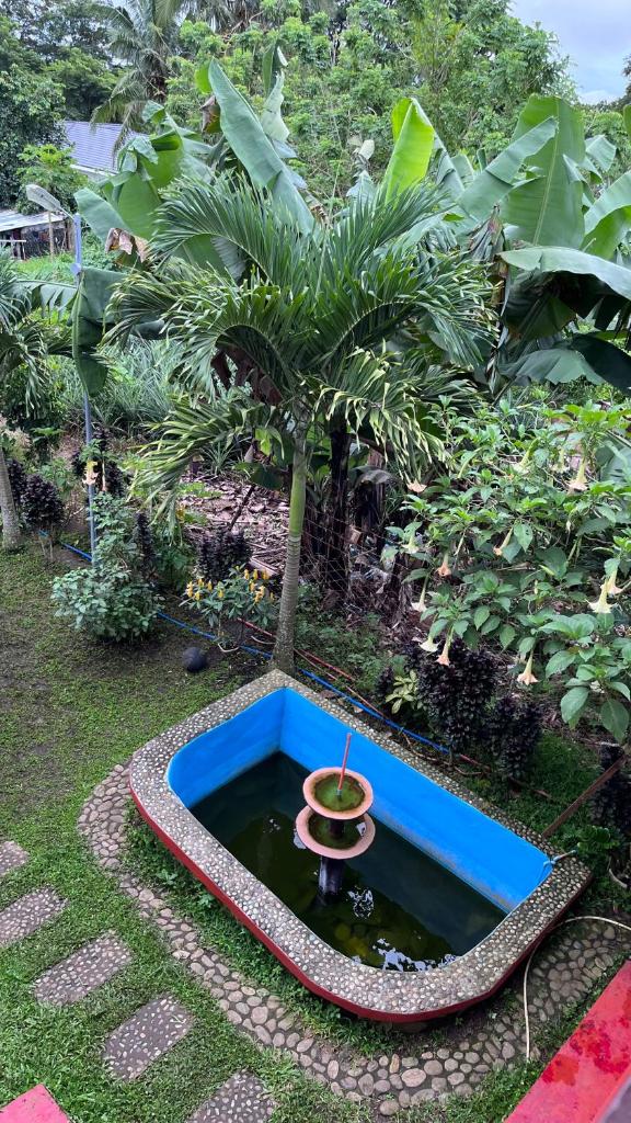 The Quiet Villa photo 1