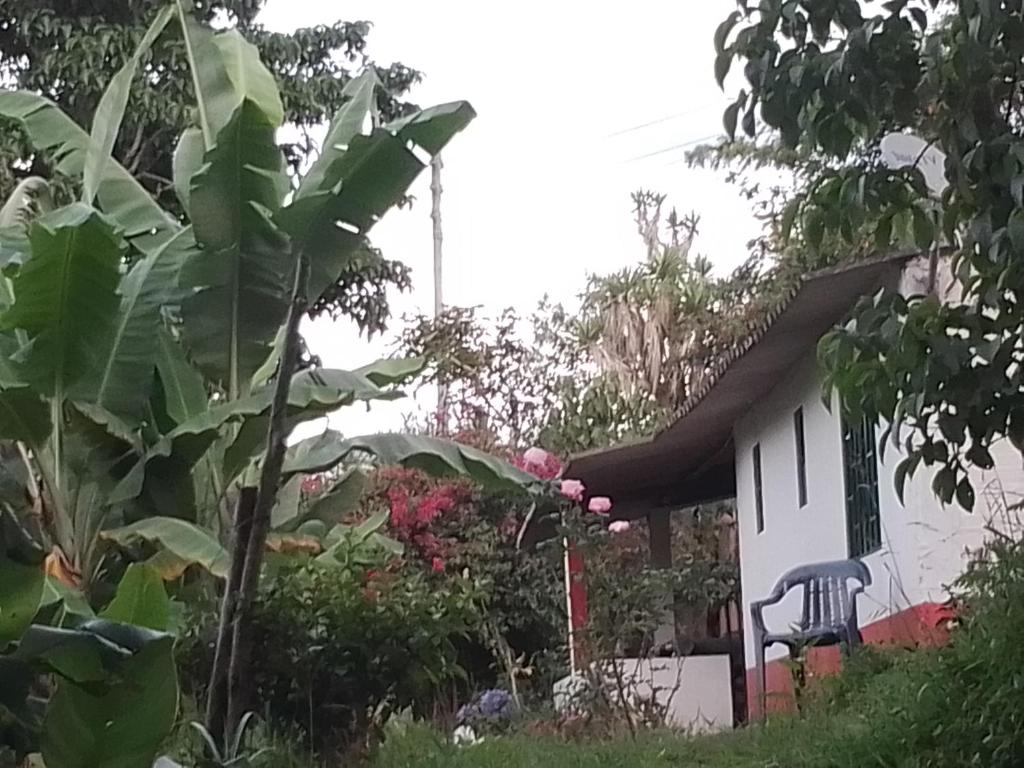 Finca Umnisa - Choachi photo 4