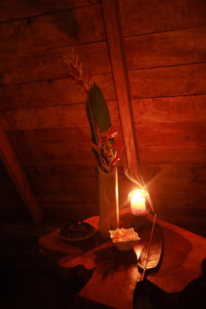 Cinnamon Paradise photo 4