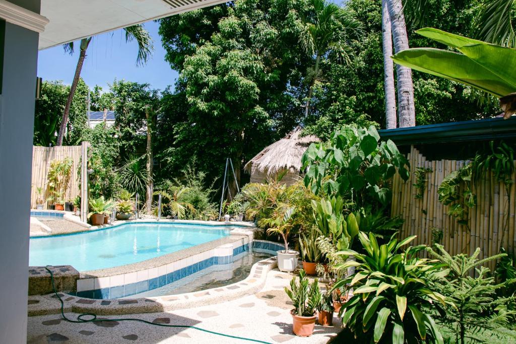Alf's Guesthouse photo 3