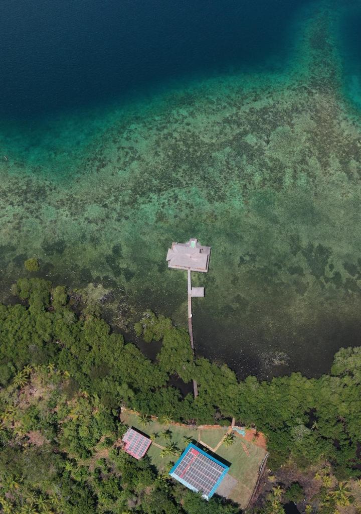 Eco-Lodge Bocas Coral Reef - Over water villa & birds house photo 2