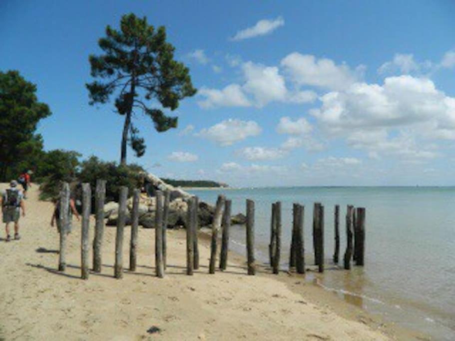 Maison à 500 mètres de la plage photo 3