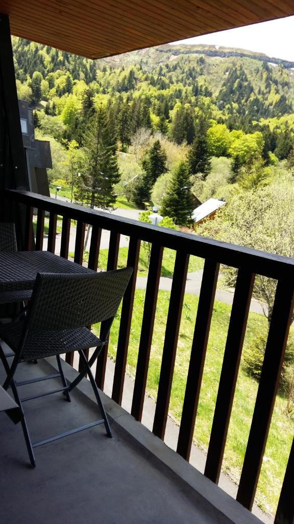 appartement avec balcon au Mont Dore photo 1