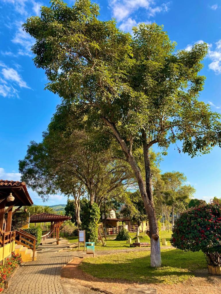 Bonito Plaza Hotel photo 4