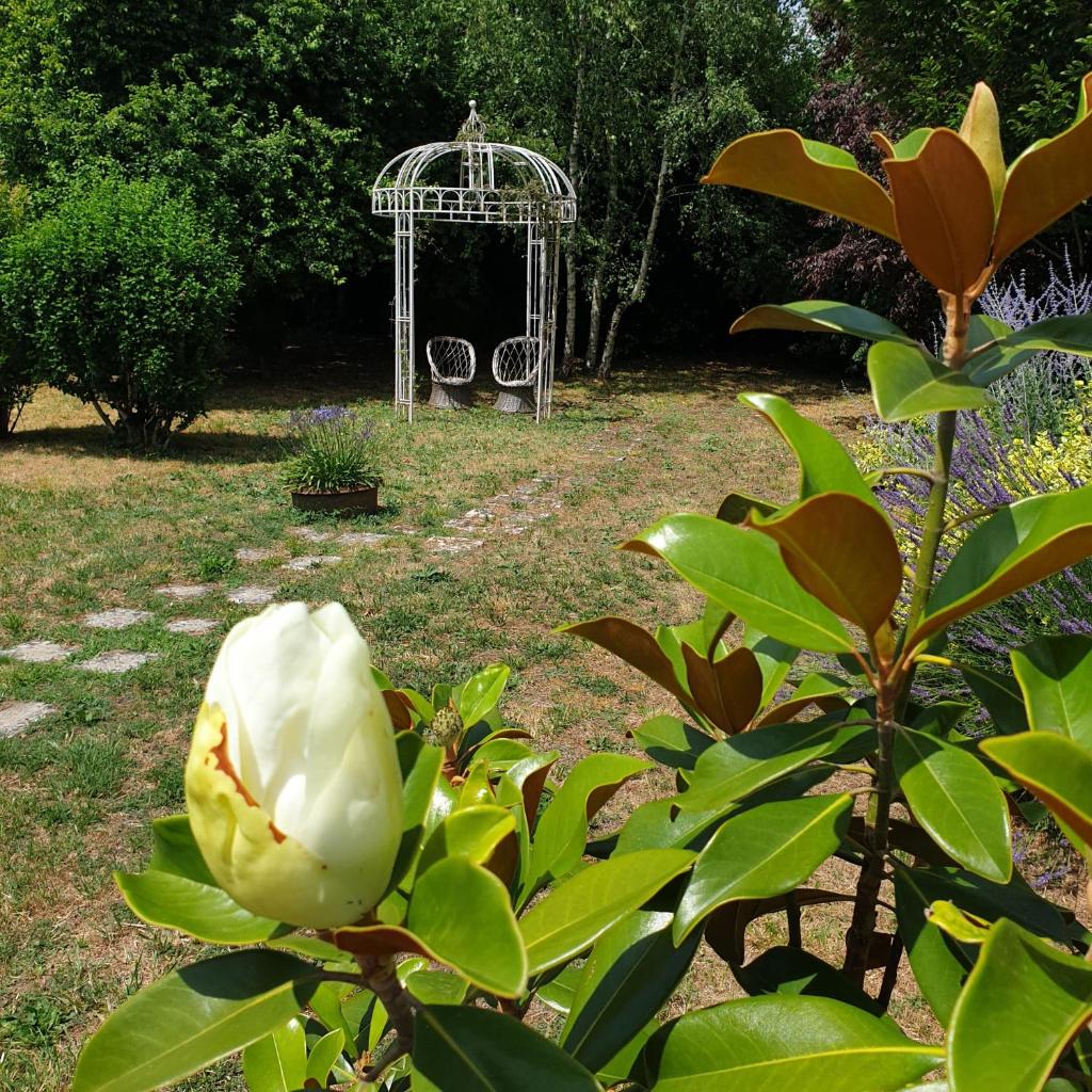 La Maison des Thermes, Chambre d'hôte photo 2
