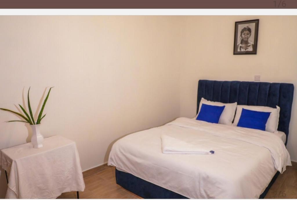Rupital studio apartments