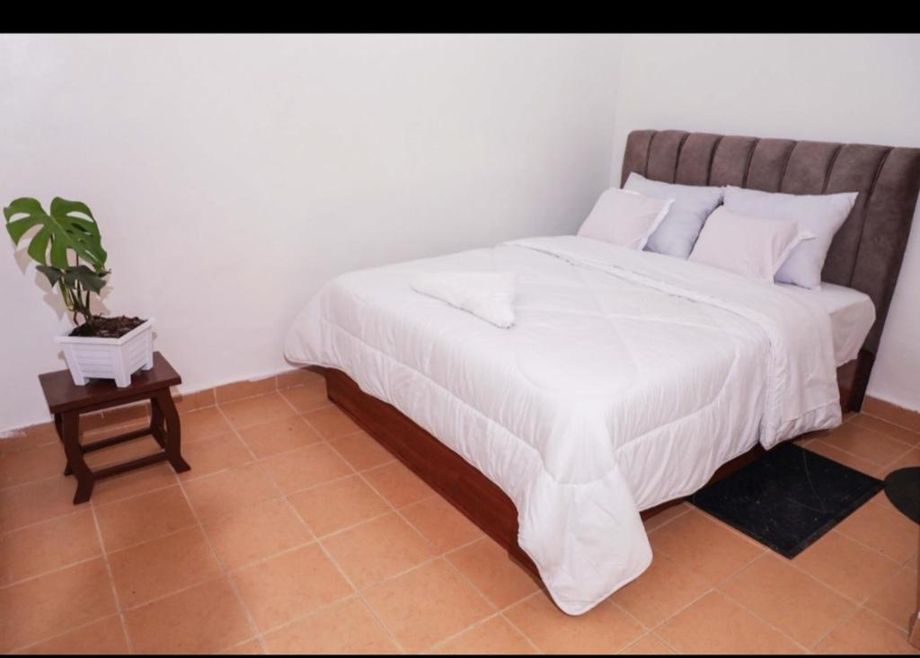 Rupital studio apartments photo 3
