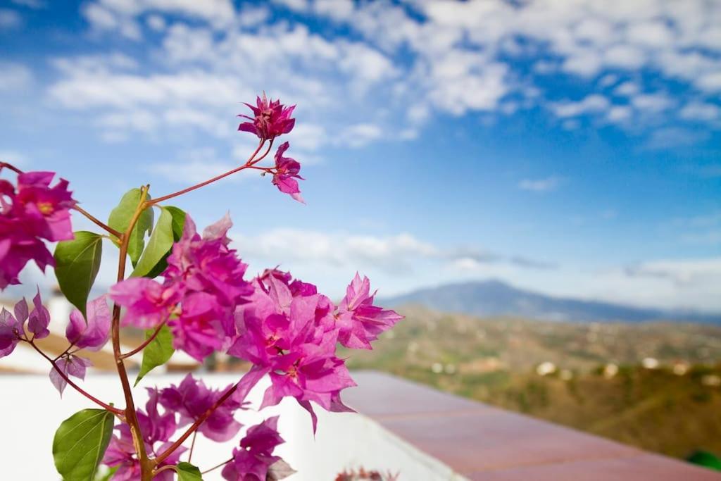 Rooftop Terrace & Panoramic Mountain View’s photo 4