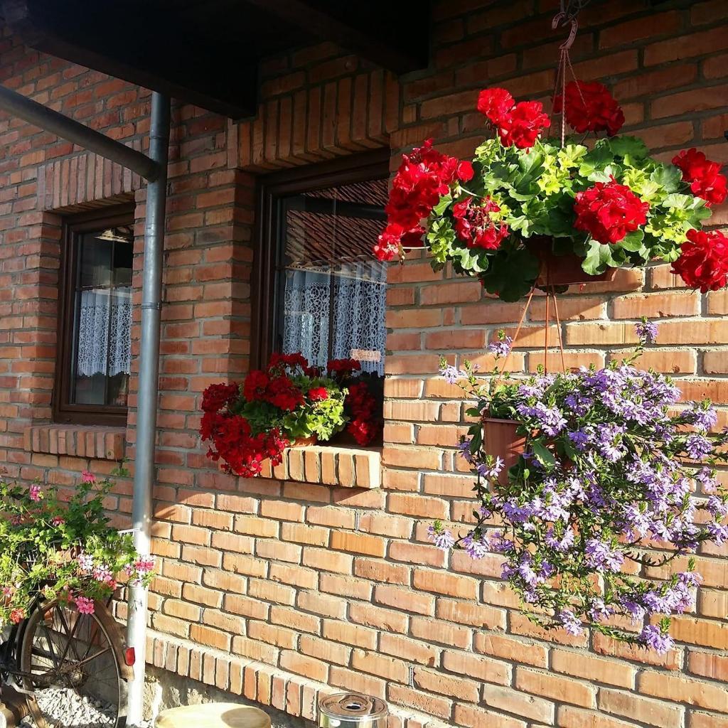 Gościniec Gałkowo photo 3