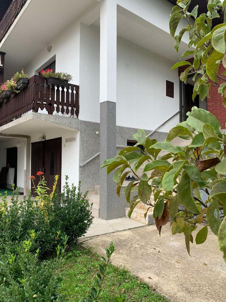Guest House Husejn photo 2