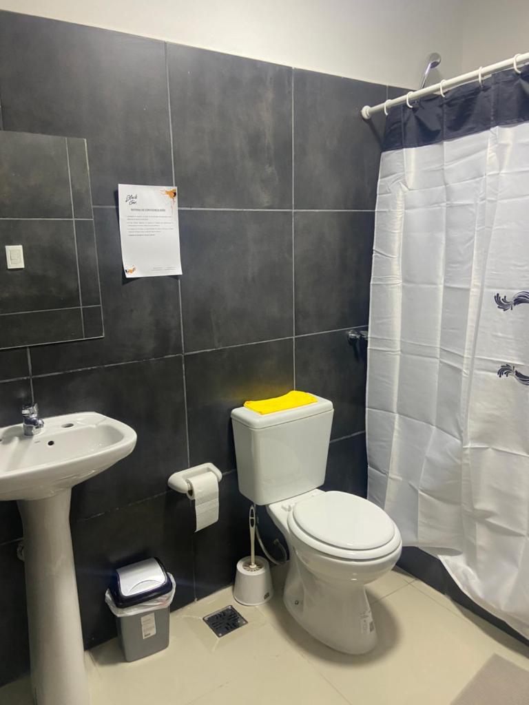 Black Star Art Hostel photo 2