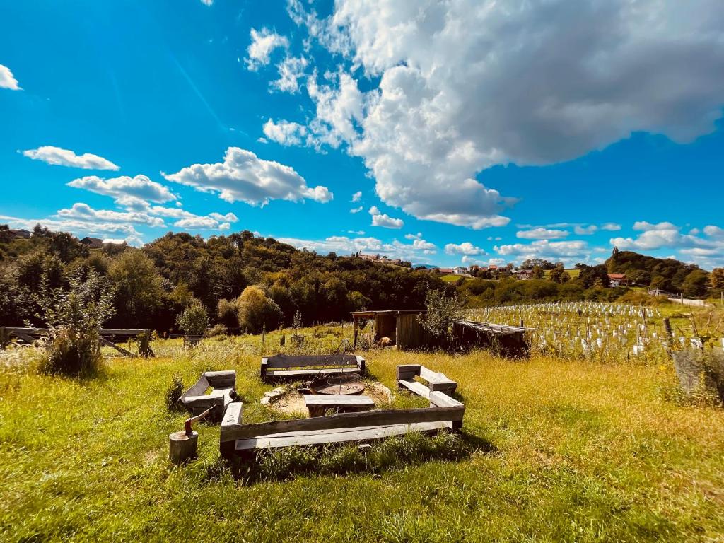 Boutique Glamping Divja DiVine photo 3