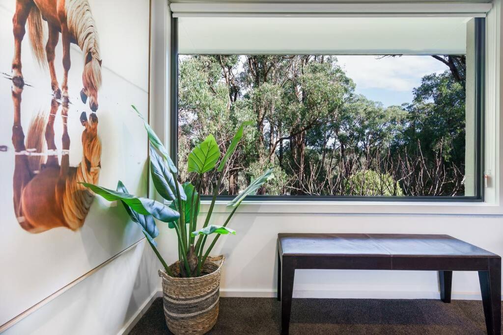 Nest on the Trail, a lovely 4 bdr home in Red Hill photo 4