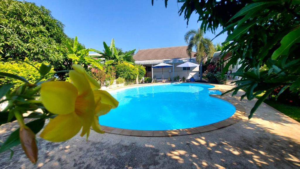 Nuch's Apple Guest House photo 4