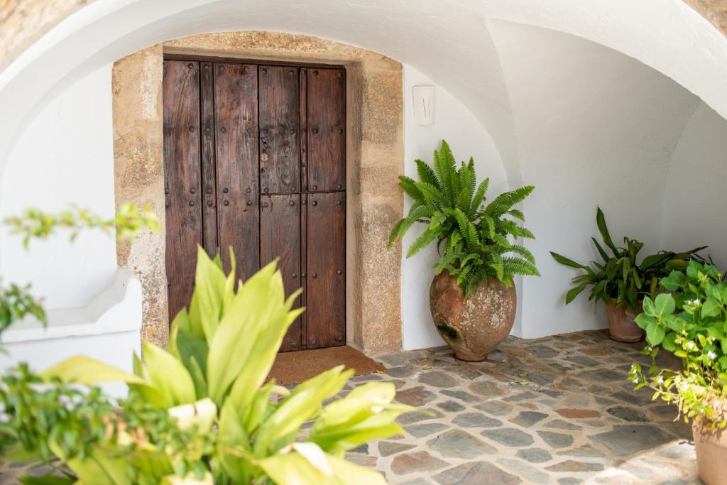 Finca El Azahar photo 4
