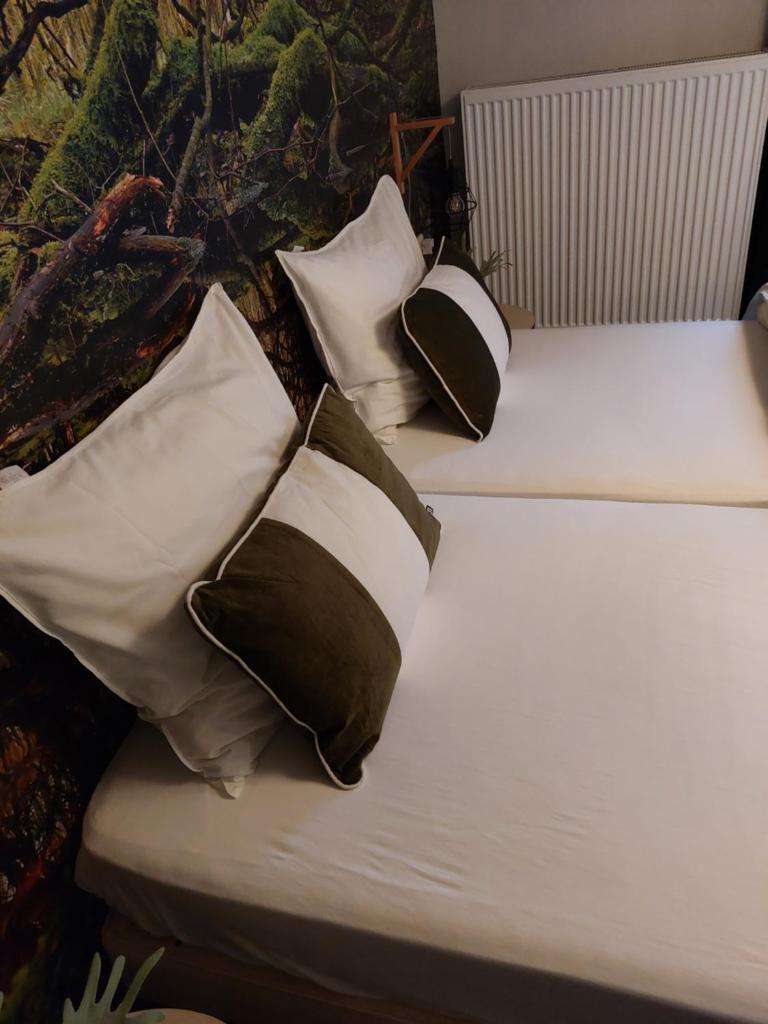 Bed en Breakfast Het Oelenest photo 3