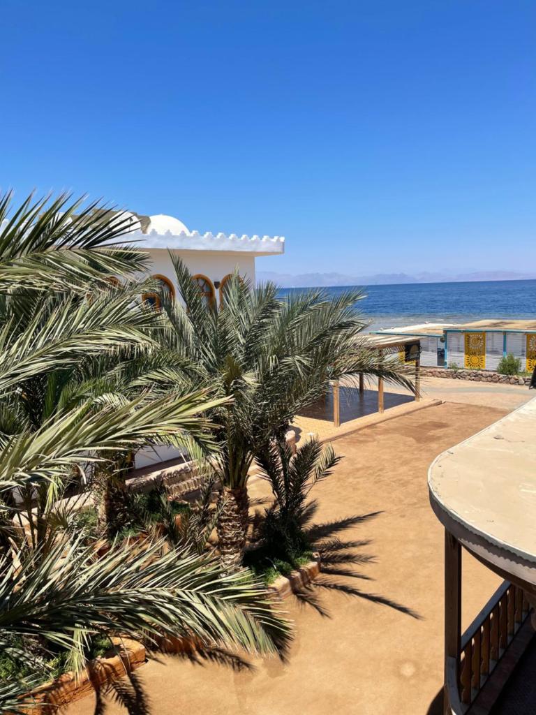 Shams Hotel & Dive Centre photo 4