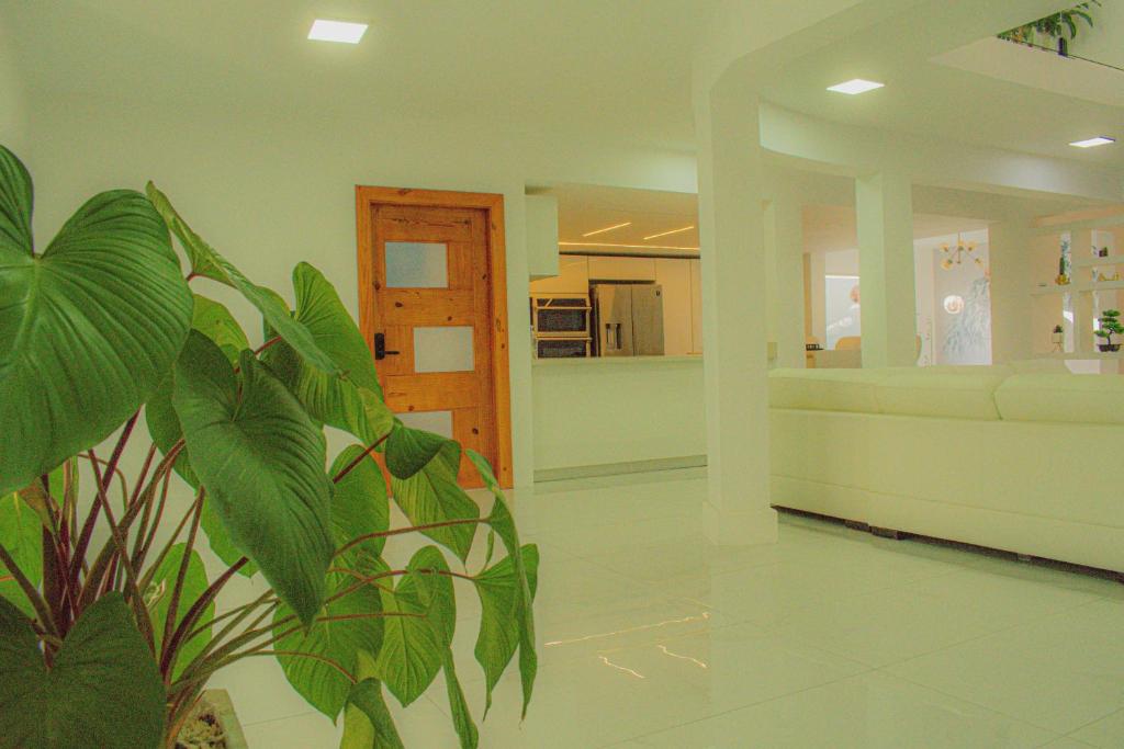 Luxury Smart Mansion 7br Heated Pool11000 sq ft Home photo 4