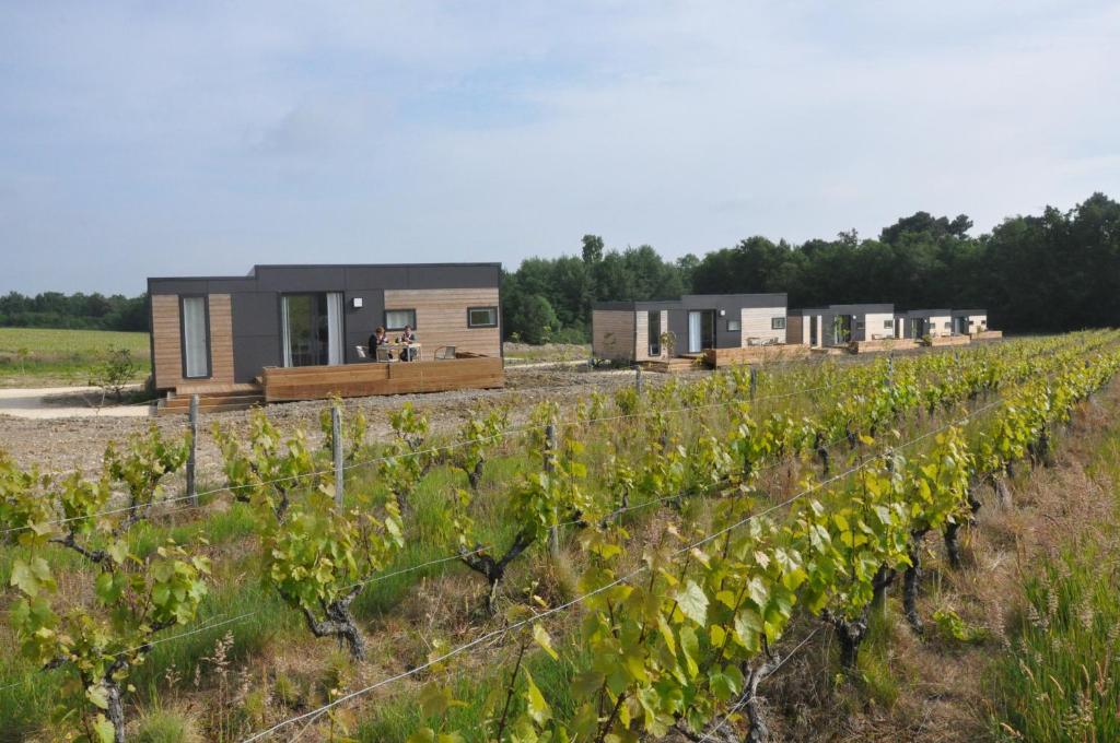 Les Cottages des Pierres d'Aurèle photo 2