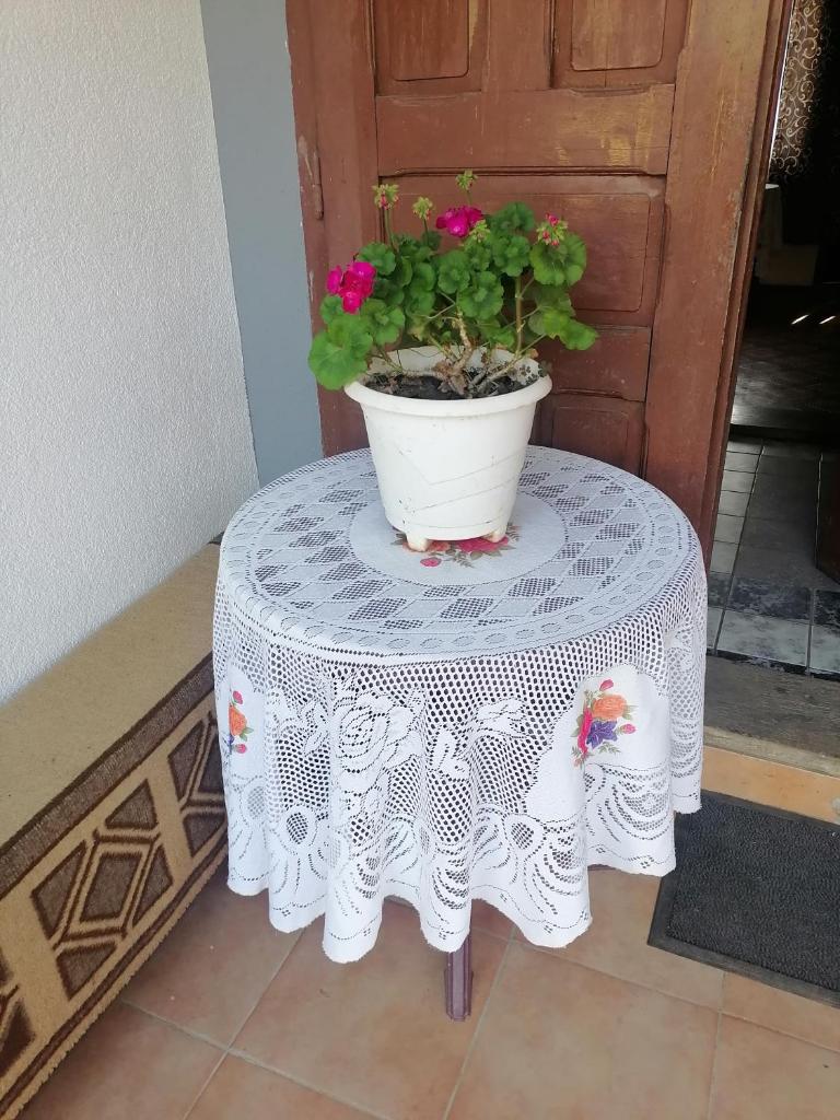Etno Kuca Badejevic photo 4