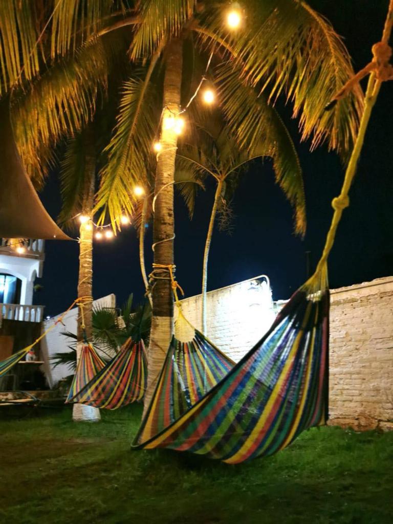 COCO HOUSE CHACHALACAS photo 4