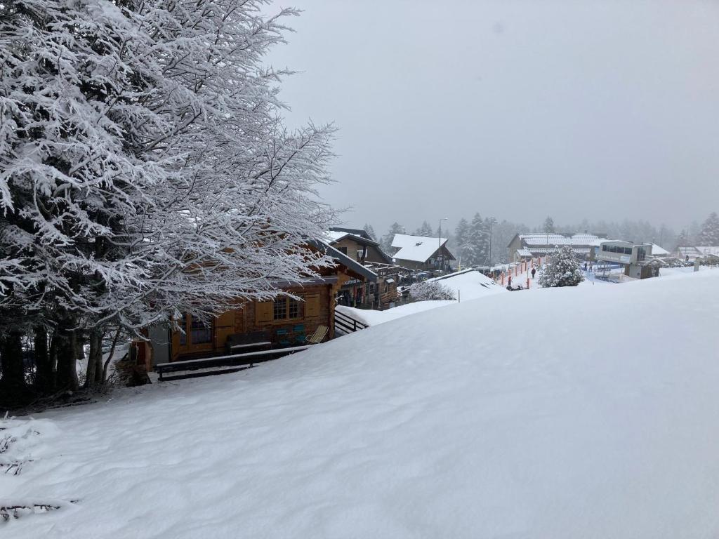 CHALET 6 PERSONNES SUR PISTE photo 1
