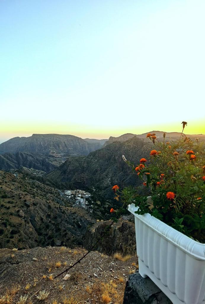 ROSES HOUSE OMAN 2 photo 3