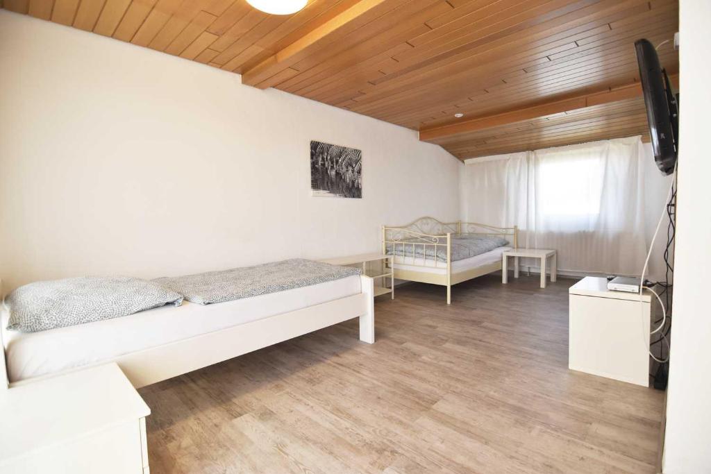 Work & Stay in Sankt Augustin near Troisdorf photo 3