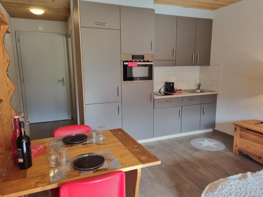 Magnifique studio rénové au coeur des 4 Vallées photo 1