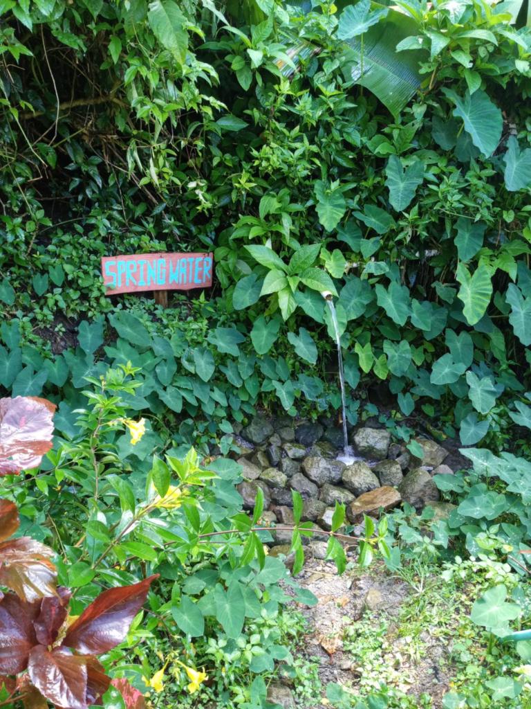 Berkey's Jungle Paradise photo 4