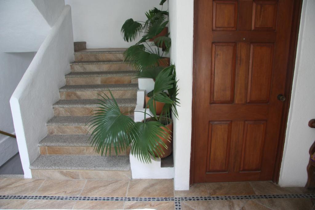 Апартаменты (Апартаменты-студио), Amapas Apartments Puerto Vallarta