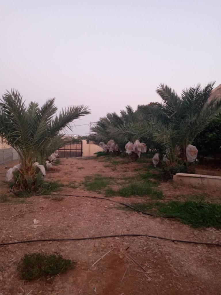 Rimal Villas فلل الرمال photo 2