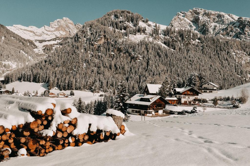 Mountain Chalet Pra Ronch photo 3
