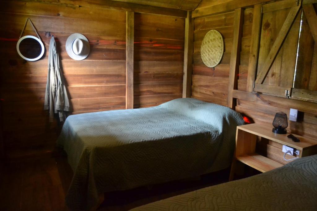 Pinar del Valle - Glamping en el Bosque - Propiedad Completa en Constanza photo 1