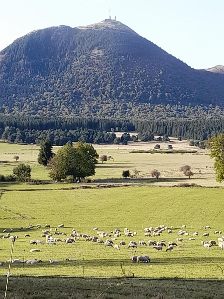 A 5 mns du Puy de Dôme avec Vue imprenable Studio rez de jardin 24m2 neuf à Laschamps