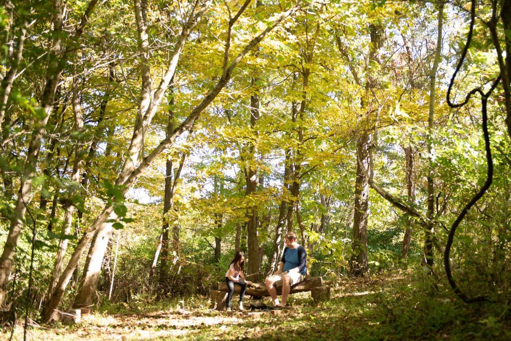 Biker Hiker friendly 3 bedroom by Strouds Run State Park photo 3