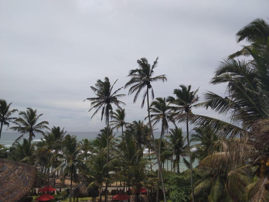 Beach Inns Holiday Resort - Celeste photo 1