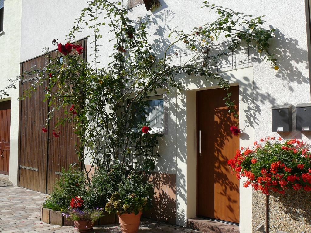 Winzerhof unter der Yburg photo 3