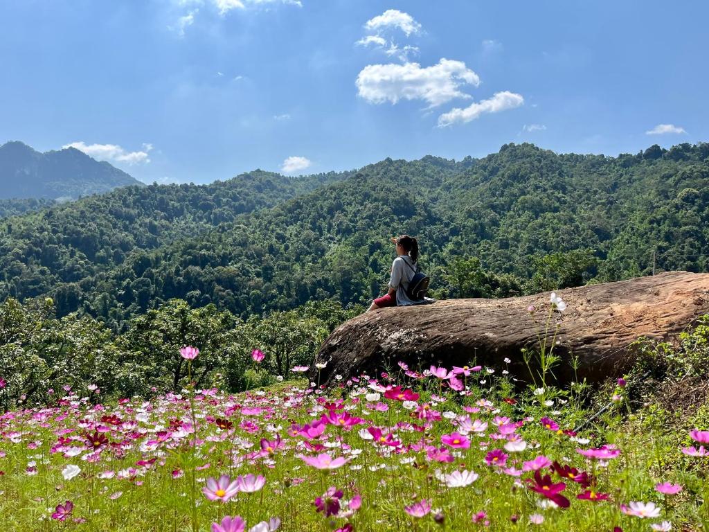 Mường sang farmstay