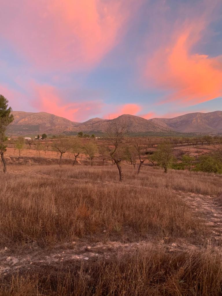 Cortijo Frankie photo 3