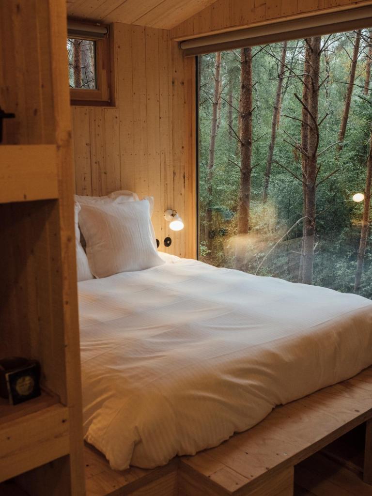 Youza ecolodge photo 3