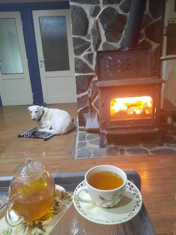 Contryside holiday house, for even better energy sourcing photo 4