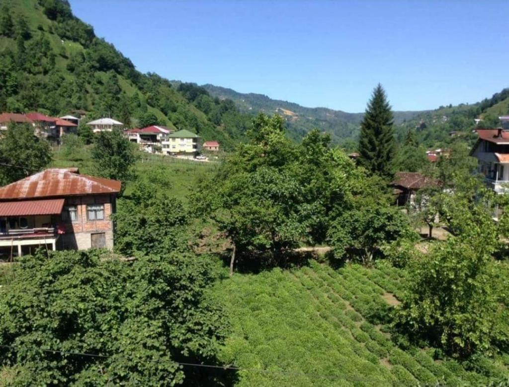 sulamanoğlu triplex photo 4