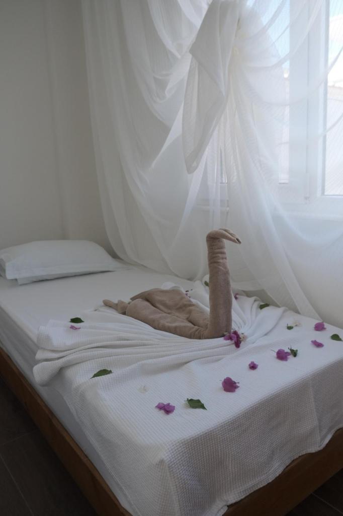 VILLA ROSE photo 1