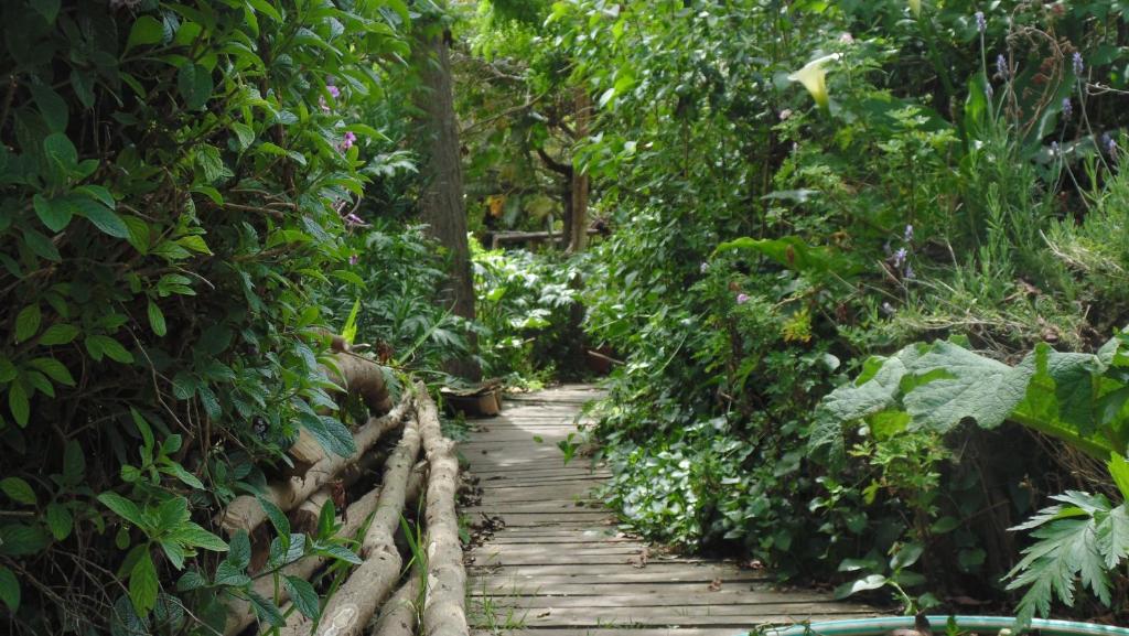 Maipo River House: los Jardines del Maipo photo 4