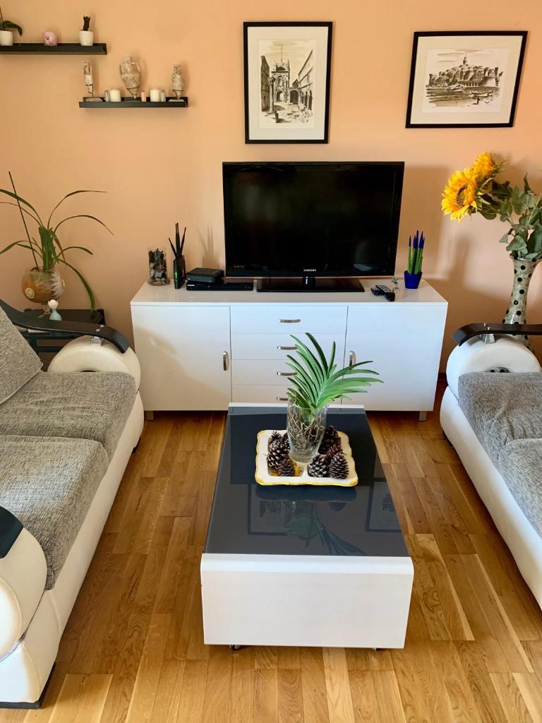 Sunny Apartment Petrovac photo 3